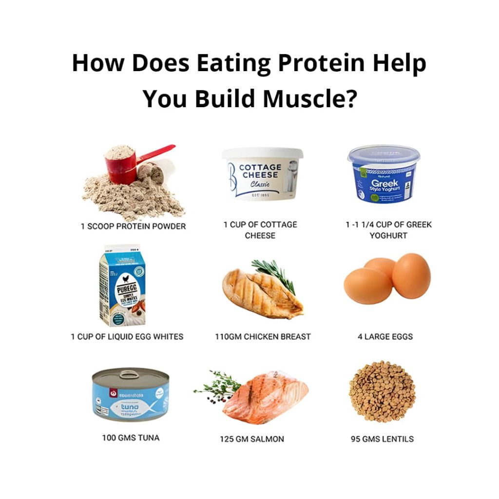 How Does Eating Protein Help You Build Muscle?