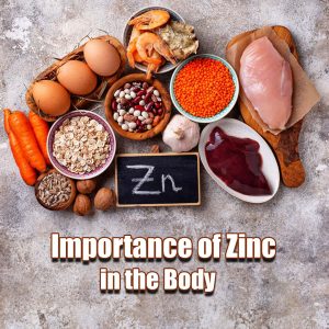 Introduction to Zinc Supplements