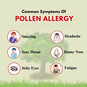 Top 25 Powerful Tips to Manage Pollen Allergy Naturally (2025 Guide)